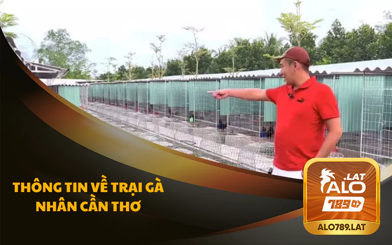 Trại Gà Nhân Cần Thơ: Chuyên cung cấp giống gà chất lượng 2 Thông tin chi tiết về trại gà Nhân Cần Thơ
