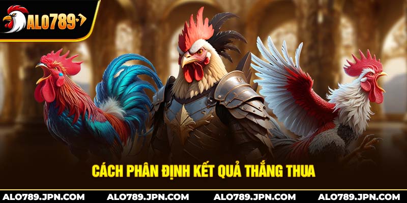 Đá Gà Thomo Là Gì? – Cuộc Chơi Đầy Hấp Dẫn Tại Campuchia 3 Cách phân định kết quả thắng thua